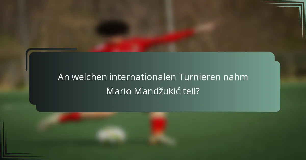 An welchen internationalen Turnieren nahm Mario Mandžukić teil?