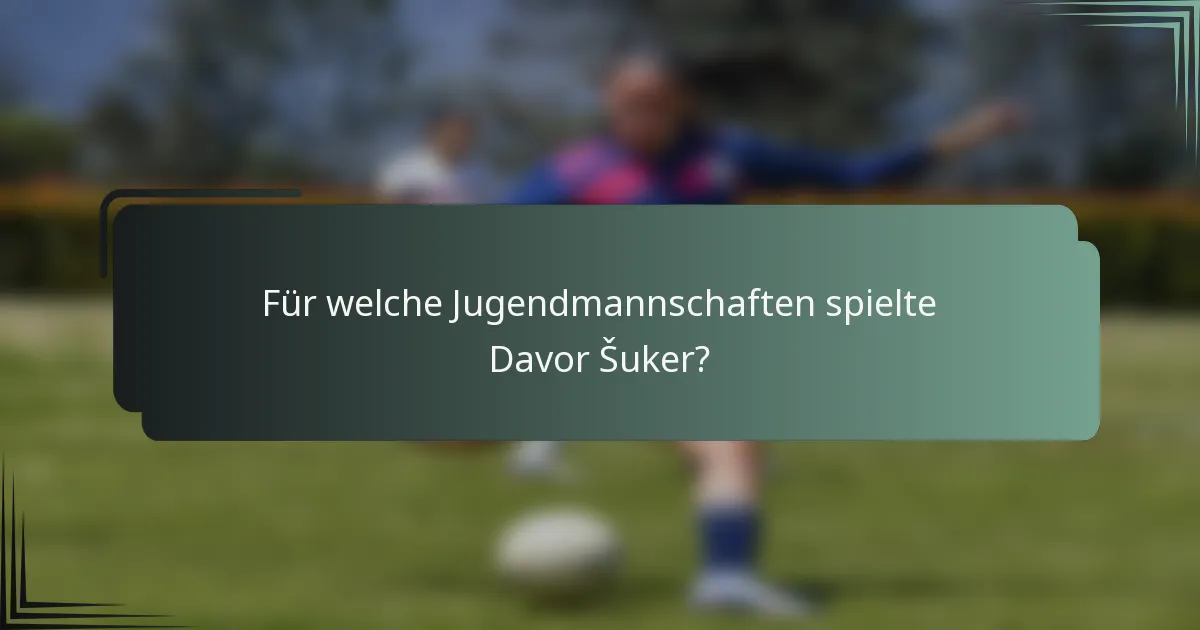 Für welche Jugendmannschaften spielte Davor Šuker?